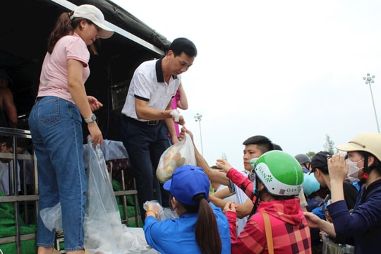 Thêm yêu thành phố của em