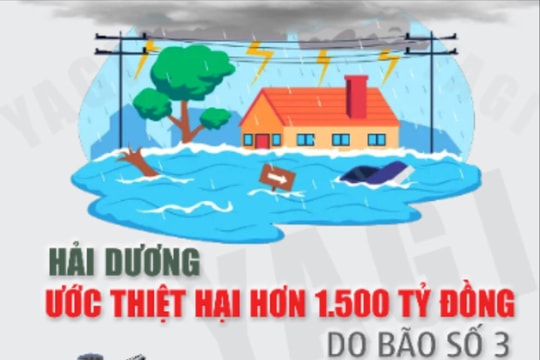 Hải Dương ước thiệt hại hơn 1.500 tỷ đồng do bão số 3