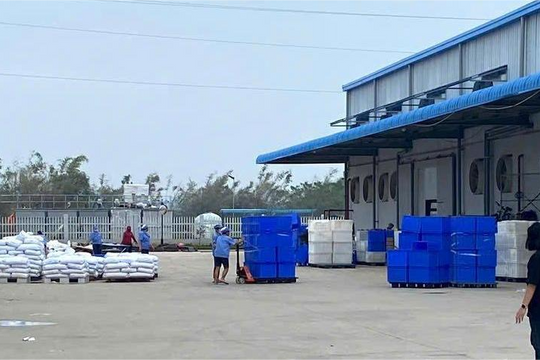 Khu công nghiệp Cộng Hòa đã hoạt động trở lại sau khi nước rút