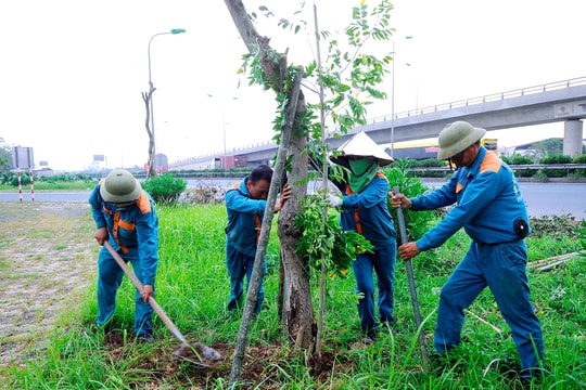 Xếp lại quá khứ gãy đổ, tìm ra cách mới phát triển cây xanh TP Hải Dương