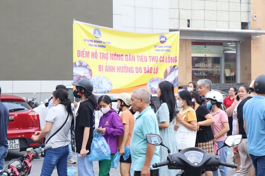 Khoảng 1.000 tấn cá lồng đã được người dân Hải Dương tiêu thụ nhanh