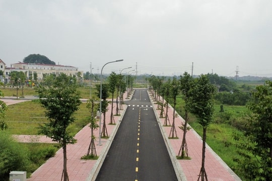 Lập đỉnh 99,2 triệu đồng/m2, Đan Phượng sắp đấu giá 26 lô đất khởi điểm 14 triệu đồng/m2