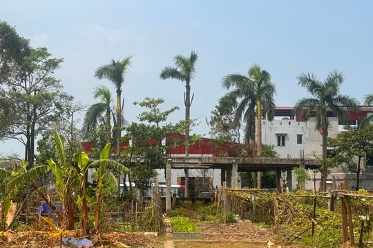 Lãng phí khu đất Dự án Trung tâm Khoa học công nghệ tin học xây dựng Hải Dương