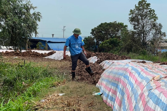Hải Dương rút lệnh báo động II trên hệ thống sông Thái Bình