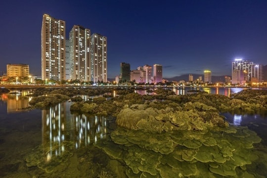 Vietnamese photographer wins ASEAN SX Photo Contest