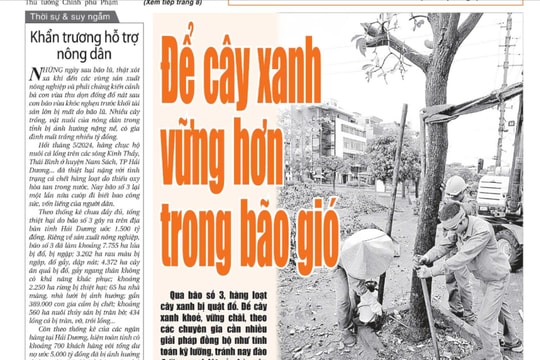 Xem gì trên báo Hải Dương ngày 18/9?
