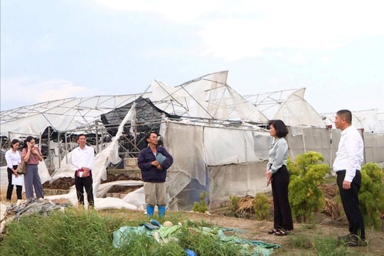 Chia sẻ với doanh nghiệp Hải Dương sau bão lũ