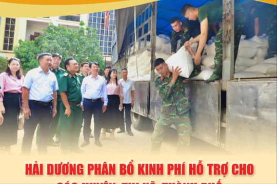 Hải Dương phân bổ kinh phí hỗ trợ các huyện, thị xã, thành phố khắc phục hậu quả do bão số 3 như thế nào?