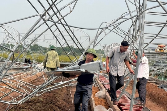 Nông dân Thanh Miện xung kích giúp nhau khắc phục thiệt hại do bão lũ