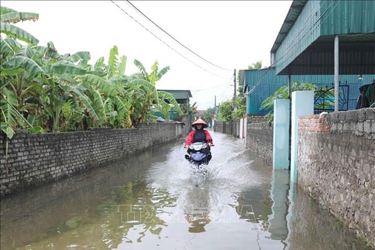 Cập nhật thiệt hại ban đầu do bão số 4