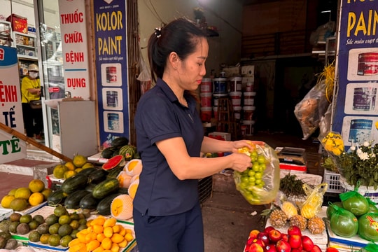 Nho mẫu đơn tại Hải Dương chủ yếu có xuất xứ Trung Quốc