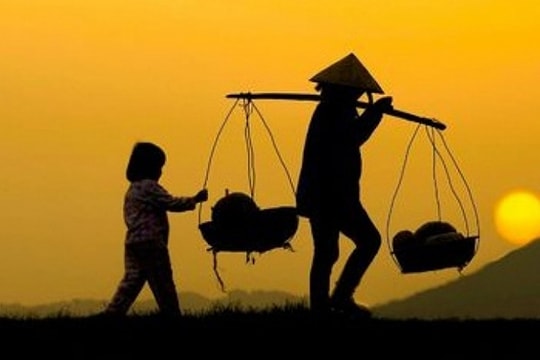 Cánh đồng của mẹ