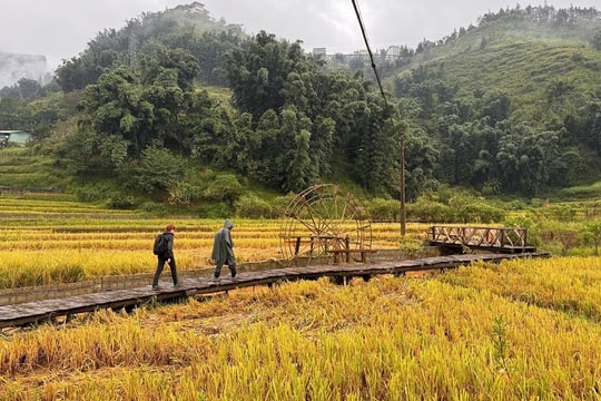 Lào Cai mở tour du lịch kết hợp thiện nguyện sau bão số 3