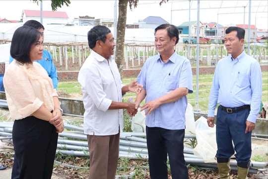 Bộ trưởng Lê Minh Hoan biểu dương tinh thần lạc quan của nông dân Hải Dương sau bão lũ