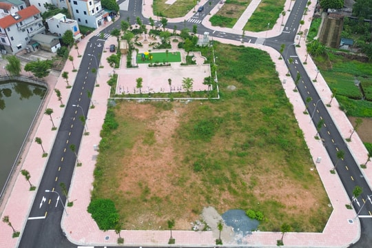 Sau các phiên đấu giá "sốt nóng", thị trường đất ven Hà Nội thế nào?