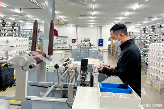 Đấu tranh với luận điệu xuyên tạc "đánh chuột làm vỡ bình"