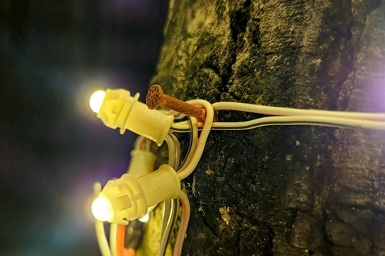 Muôn kiểu giăng đèn trang trí lên cây xanh ở TP Hải Dương