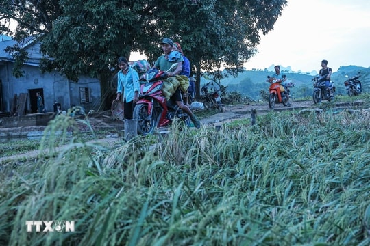 Thủ tướng Phạm Minh Chính ký công điện nhanh chóng phục hồi sản xuất nông nghiệp sau bão