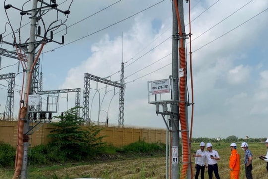 Điện lực Cẩm Giàng không còn điểm vi phạm hành lang lưới điện