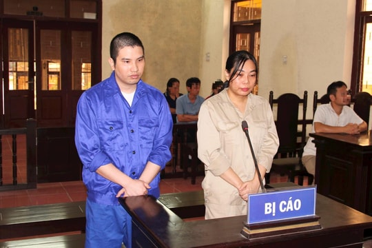 Trốn thuế, Giám đốc và Kế toán Công ty An Phát Plastic ở Thanh Hà lĩnh án