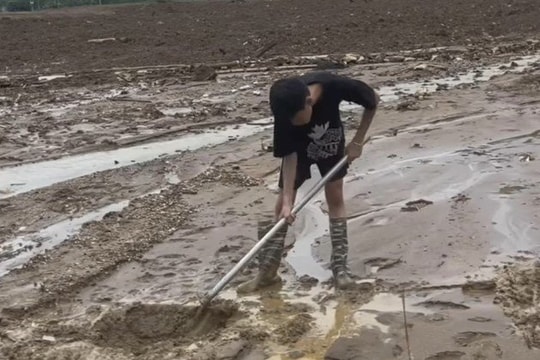 Nỗi đau khắc khoải trong bài thơ "Tìm mẹ"