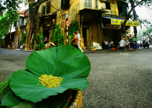 Hương thu