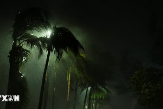 Bão Helene tàn phá miền Đông Nam nước Mỹ, số người thiệt mạng tăng vọt