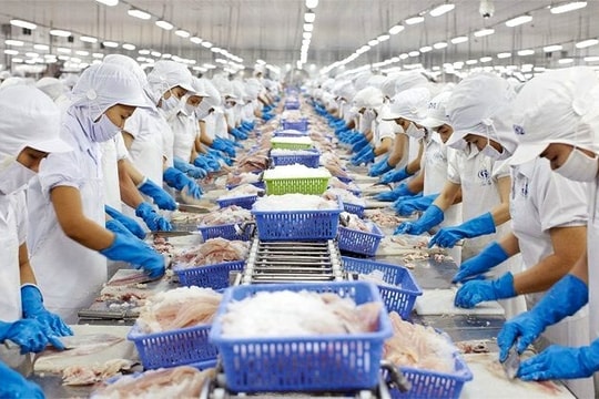 HSBC giữ nguyên dự báo tăng trưởng GDP Việt Nam năm 2024 ở mức 6,5%