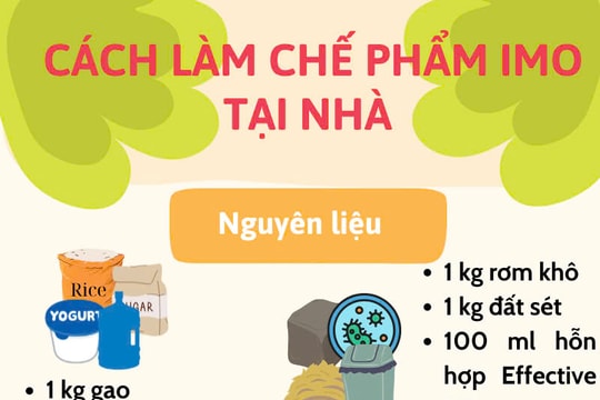 Hướng dẫn làm chế phẩm IMO tại nhà