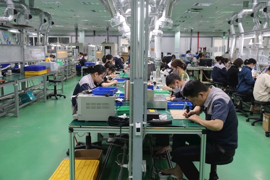 Extended Dai An industrial park resumes stable operation after Typhoon Yagi
