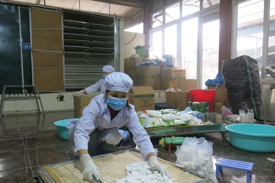 Hợp tác xã Thành Nhàn được công nhận tiêu biểu toàn quốc