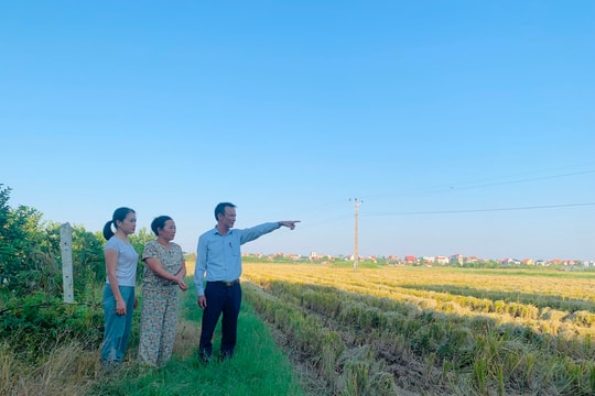 Nam Sách khẩn trương giải phóng mặt bằng dự án cầu Kênh Vàng và đường dẫn nối Hải Dương - Bắc Ninh