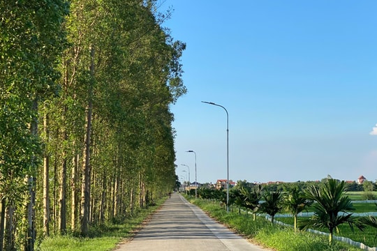 Mùa thu trong tôi