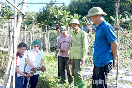 Xác định nguyên nhân ban đầu hiện tượng hàng nghìn con giun chui lên mặt đất khiến người dân lo lắng ở Tuyên Quang