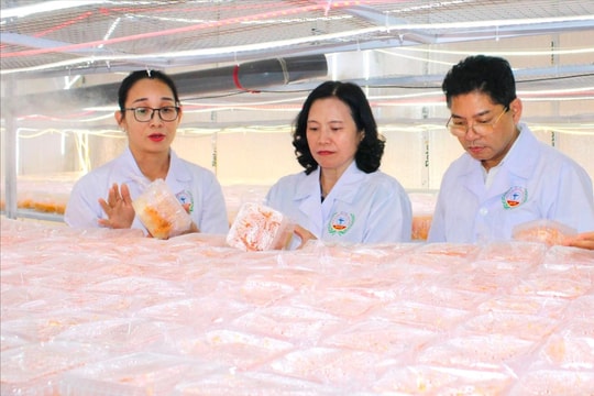 Trường Cao đẳng Dược Trung ương Hải Dương cần đẩy mạnh quảng bá sản phẩm dược liệu