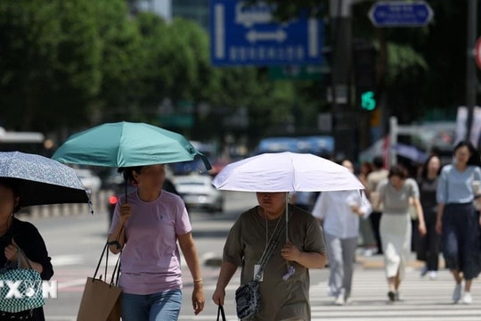 2024 sẽ trở thành năm ấm nhất từ trước đến nay