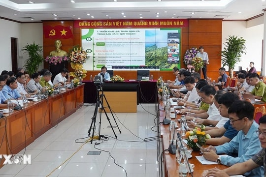 Công bố Quy hoạch lâm nghiệp quốc gia