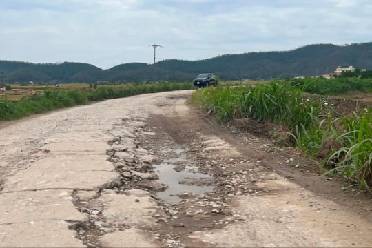 3 km đê tả sông Kinh Môn hẹp, xuống cấp