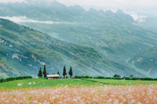 Sa Pa, Hà Giang chật vật chưa từng có trong mùa cao điểm