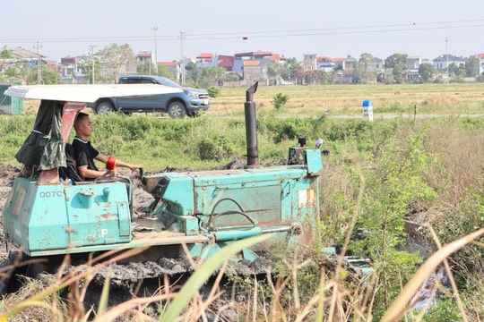 Bình Giang cưỡng chế thu hồi đất thực hiện Dự án khu dân cư mới ở các xã Thái Học, Bình Minh