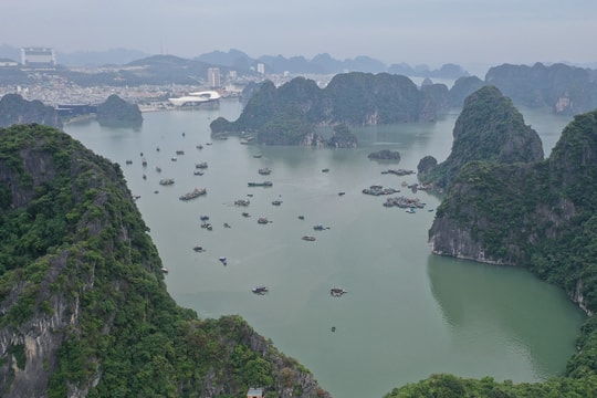 Quảng Ninh tìm đảo vắng trên vịnh Hạ Long cho tỷ phú