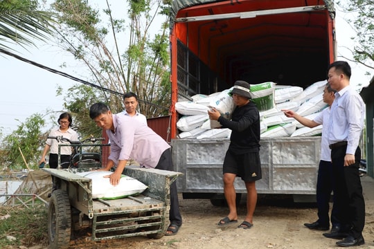 Doanh nghiệp hỗ trợ 2 triệu con cá giống và tiền mặt cho 75 hộ nuôi thuỷ sản ở Hải Dương