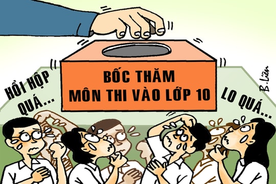 Thi môn nào?