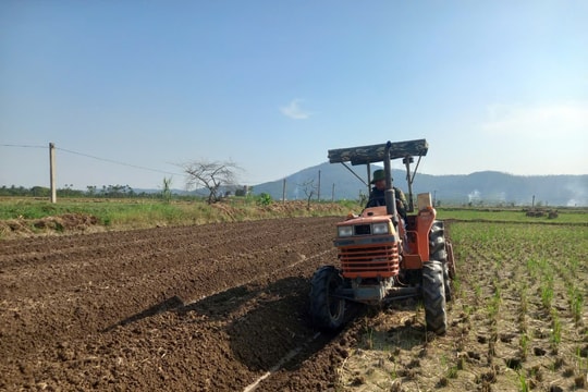 Nông dân Kinh Môn khắc phục khó khăn, tập trung làm đất vụ đông