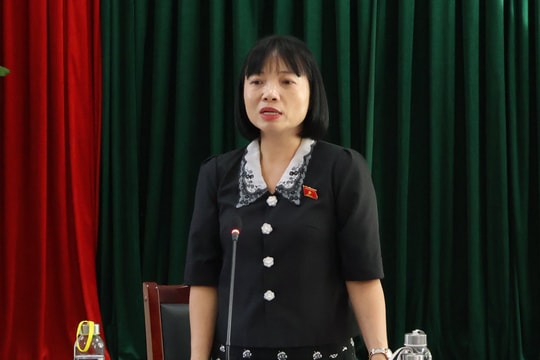 Nợ thuế sử dụng đất ở Hải Dương còn cao