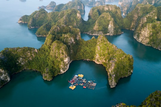 200 tỷ phú sẽ đi du thuyền đến vịnh Hạ Long