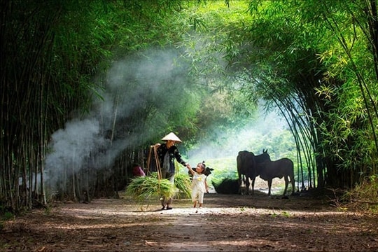 Tháng mười về với mẹ