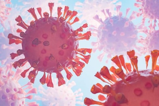 Virus Marburg nguy hiểm thế nào?