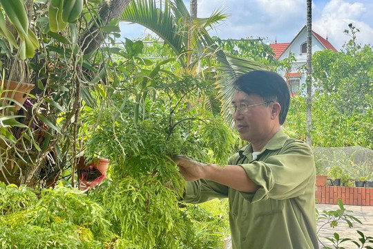 Ông “Sáu Thông” 4 lần viết huyết thư xin ra chiến trường