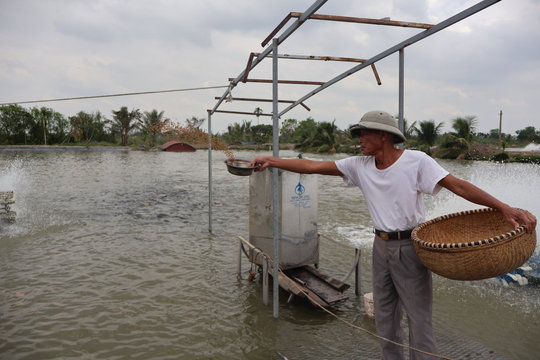 Tiềm năng nuôi thủy sản ở Kim Thành